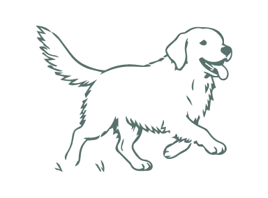 DOG-ILLUSTRATIONS-04