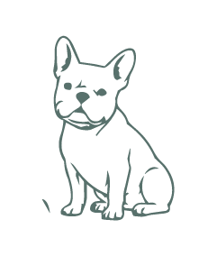 DOG-ILLUSTRATIONS-05