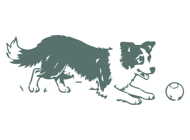 DOG-ILLUSTRATIONS-07