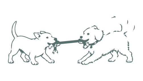 DOG-ILLUSTRATIONS-08