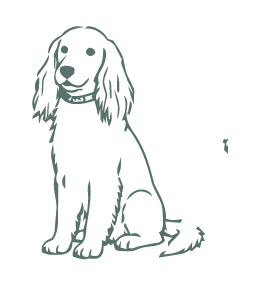 DOG-ILLUSTRATIONS-09